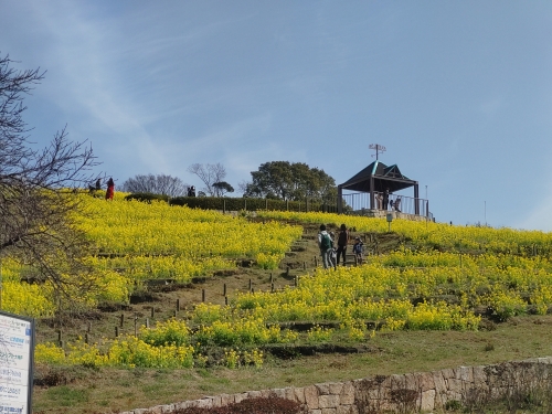 神戸総合運動公園