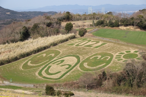 あわじ花さじき