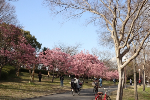 鶴見緑地