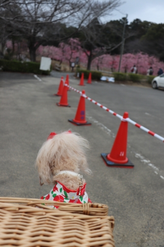 菅原神社