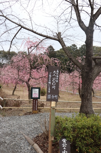 菅原神社