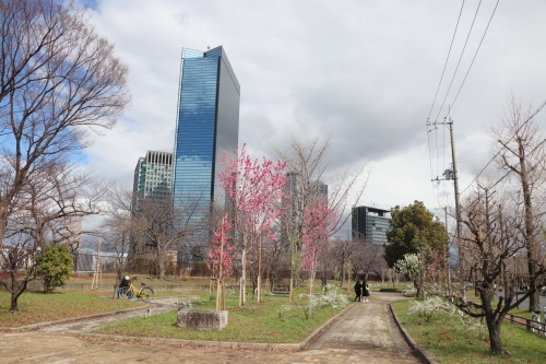 大阪城公園