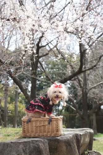 鶴見緑地