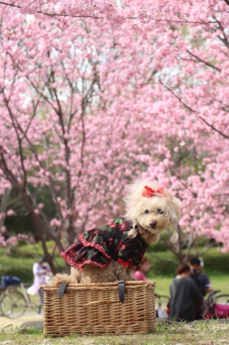 鶴見緑地