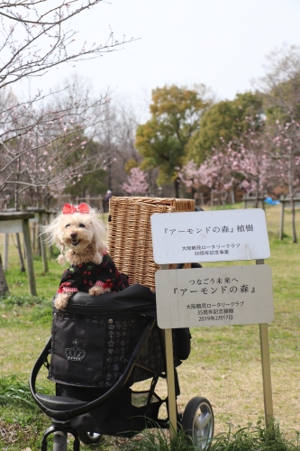 鶴見緑地