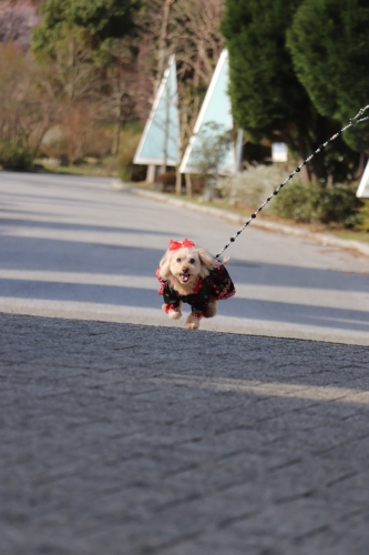 お出掛け淡路島