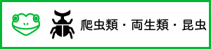 ペット検索：爬虫類・両性類・昆虫