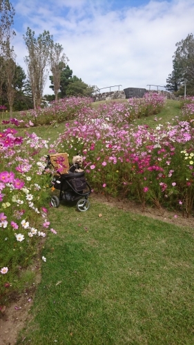 明石海峡公園