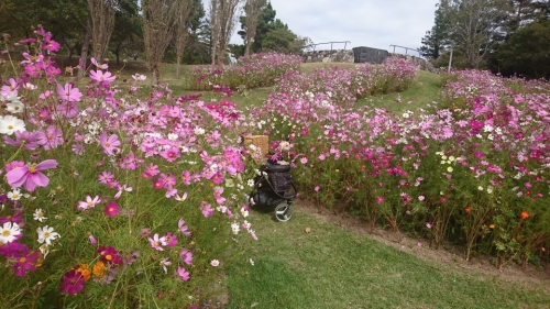 明石海峡公園