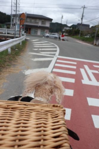 宝塚ダリア園