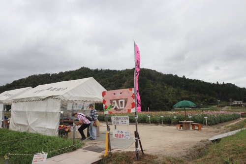 宝塚ダリア園