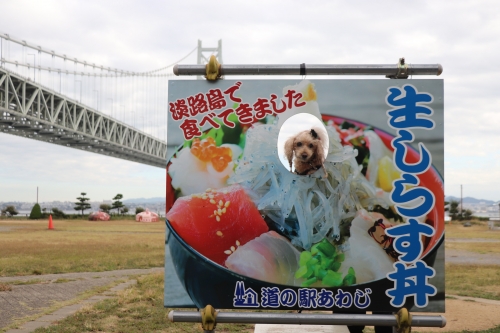 道の駅あわじ