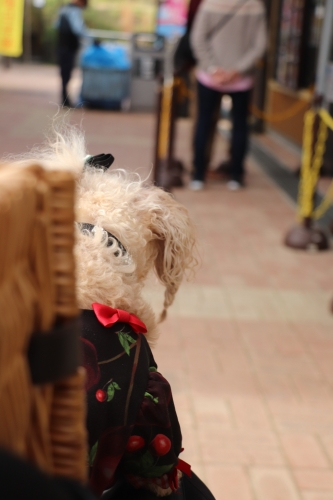 道の駅あわじ