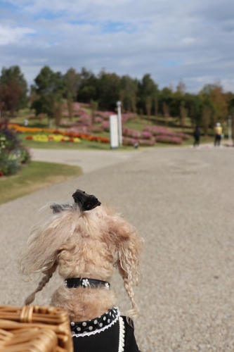 明石海峡公園