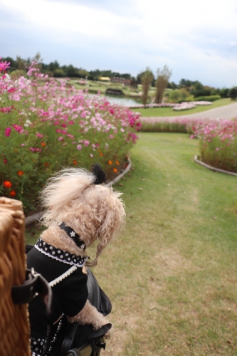 明石海峡公園