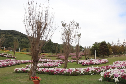 明石海峡公園