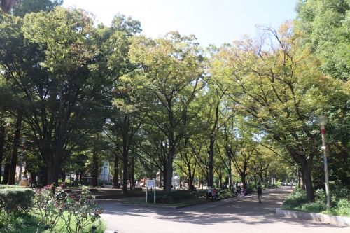 靭公園