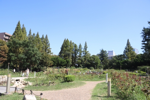 靭公園