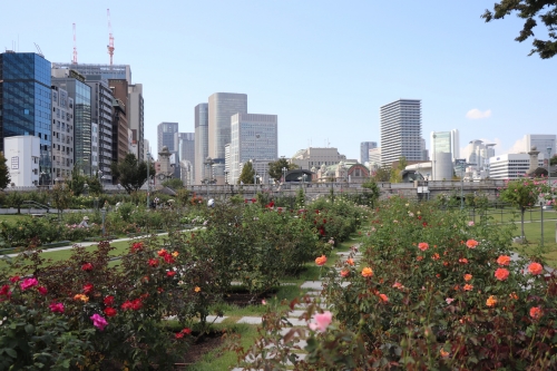 中之島公園