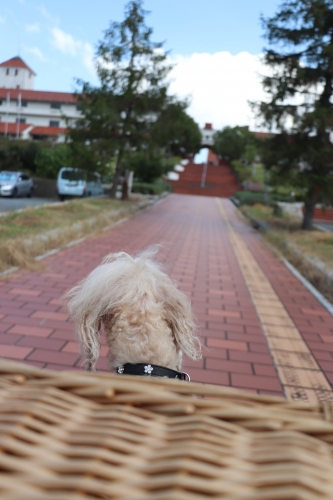 神戸ワイナリー農業公園