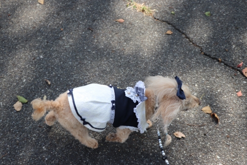 神戸ワイナリー農業公園