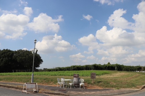 神戸ワイナリー農業公園