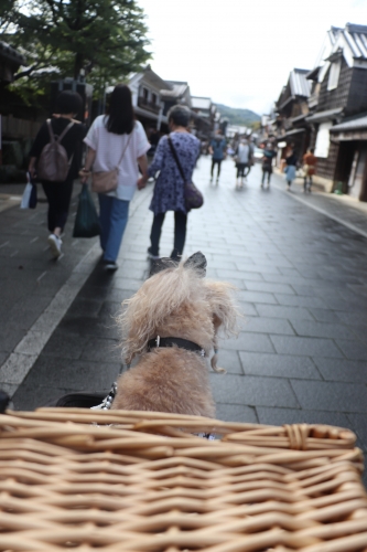 おかげ横丁