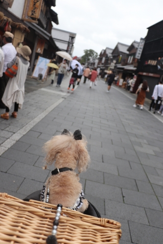 おかげ横丁