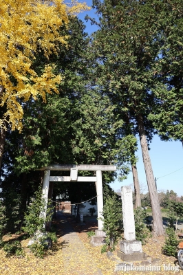 白髭神社　　 飯能市川崎1