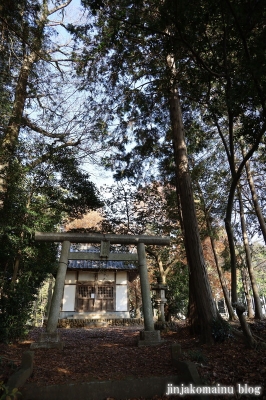 八坂神社　　飯能市下川崎1