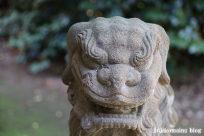 春日神社　坂井市三国町平山24