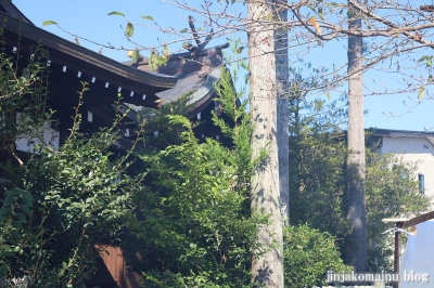 湊八幡神社　福井市照手7