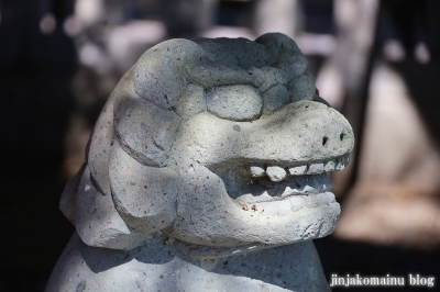 杉社白髭神社　福井市勝見30