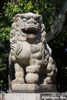 杉社白髭神社　福井市勝見12