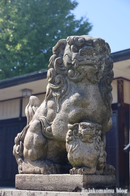 杉社白髭神社　福井市勝見13