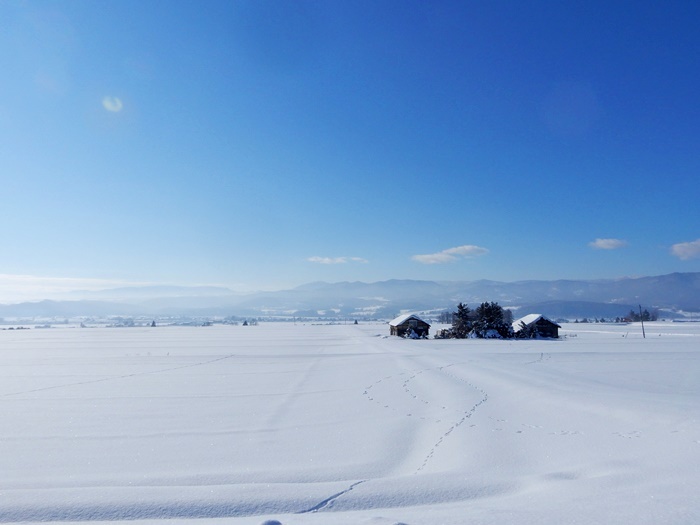 西神楽雪の田園