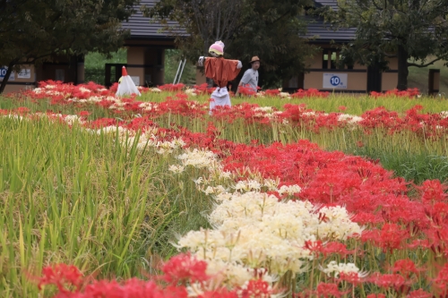 山田池公園