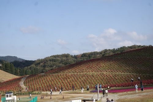 びわこ箱館山