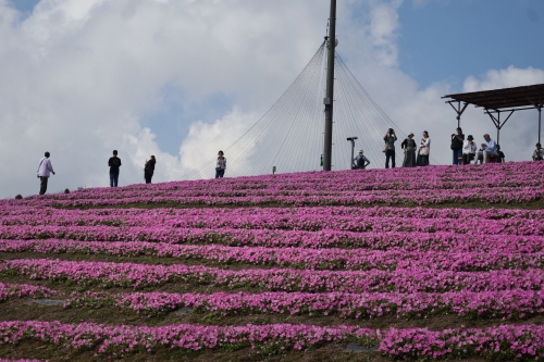 びわこ箱館山