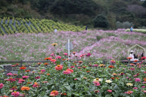 志摩市観光農園