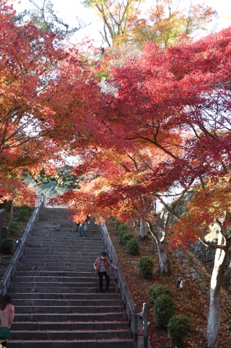 西教寺