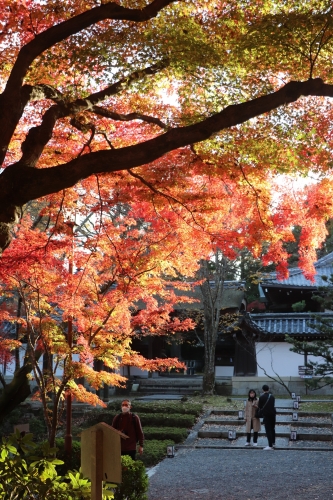 西教寺