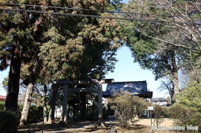 金刀比羅神社　流山市上新宿1