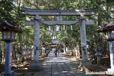 駒木諏訪神社　流山市駒木8