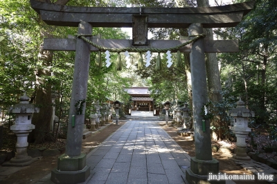 駒木諏訪神社　流山市駒木25