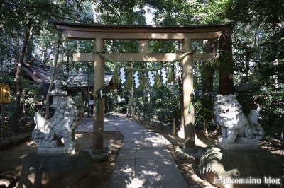 駒木諏訪神社　流山市駒木66