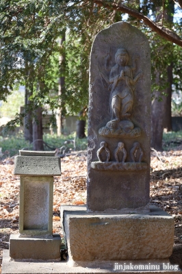 天形星神社　流山市長崎6