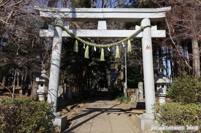 天形星神社　流山市長崎3