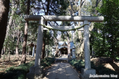 天形星神社　流山市長崎7