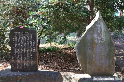 天形星神社　流山市長崎17